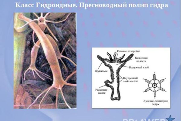 Кракен сайт официальный onion
