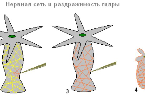 Кракен тор ссылка магазин