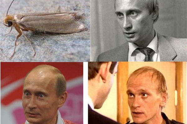 Кракен сайт
