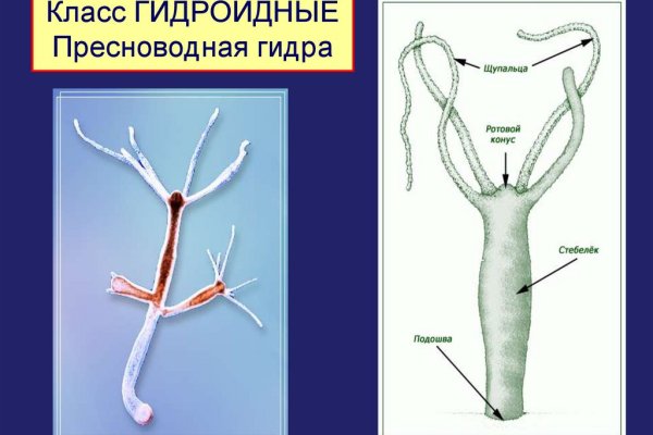 Кракен мага